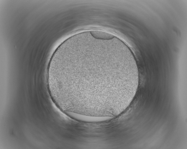 X0000110691527200907241053