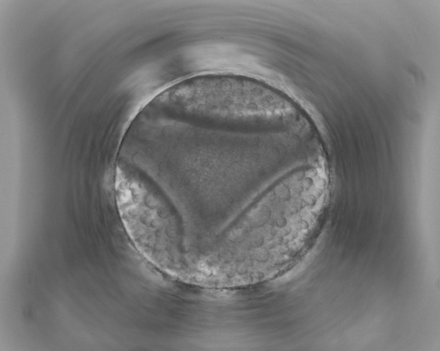 X0000110691529200907241053