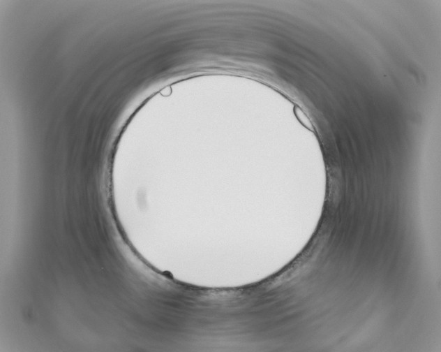 X0000110691531200907241053