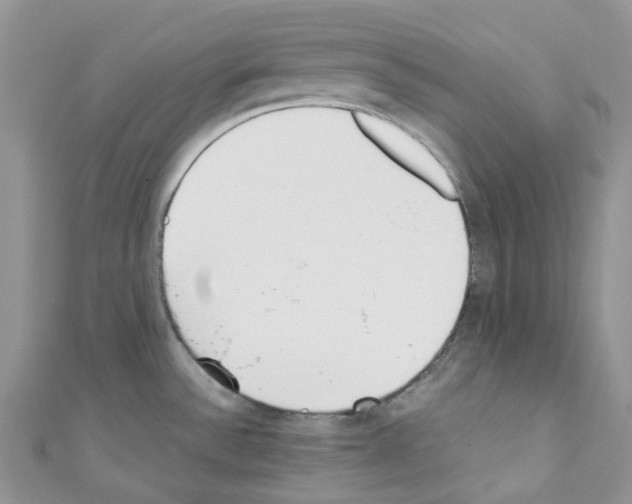 X0000110691532200907241053