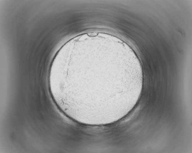 X0000110691533200907241053