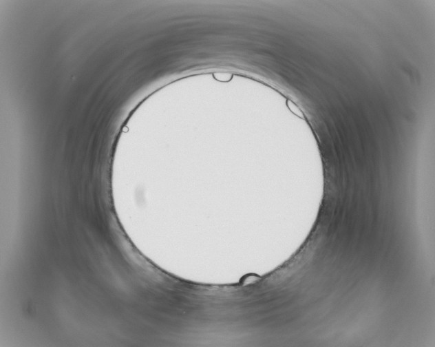 X0000110691534200907241053