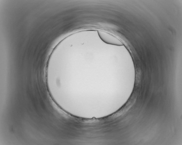 X0000110691535200907241053