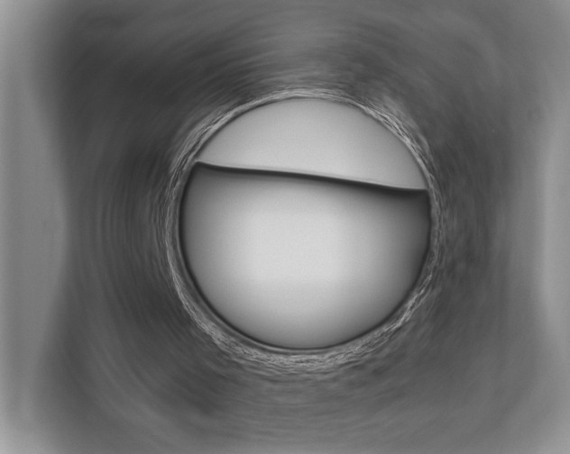 X0000110700001200906121045