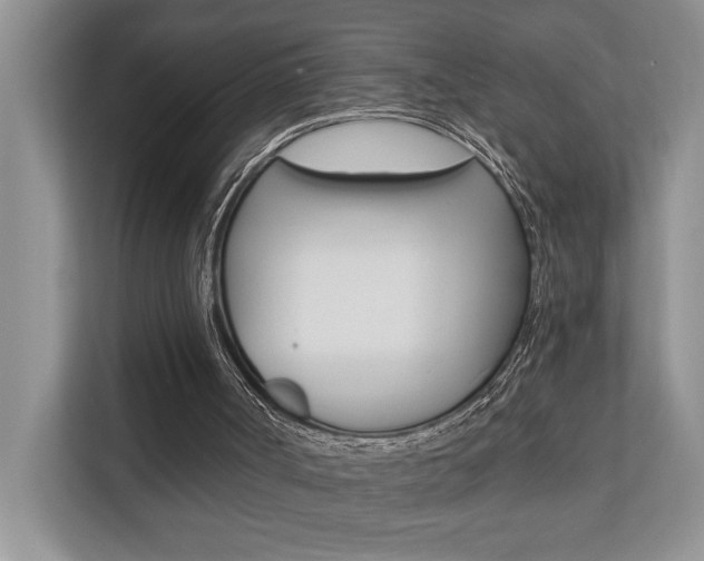 X0000110700002200906121045