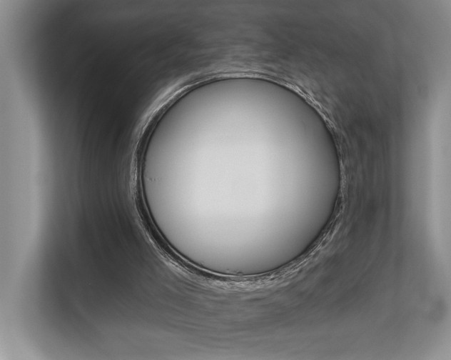 X0000110700005200906121045