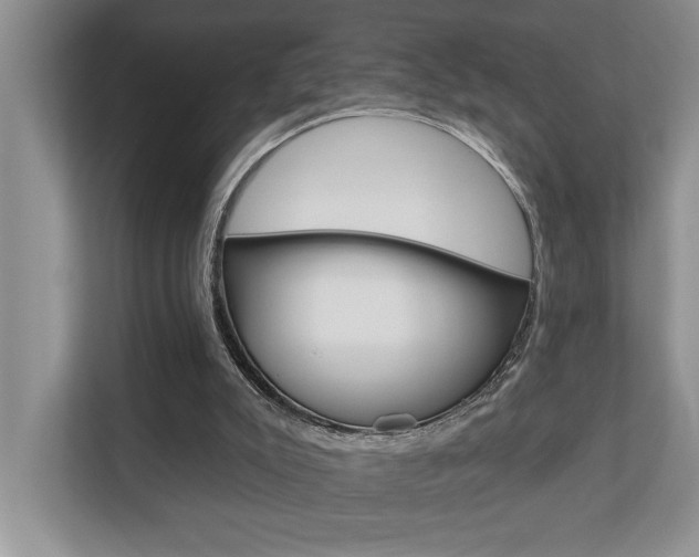 X0000110700007200906121045