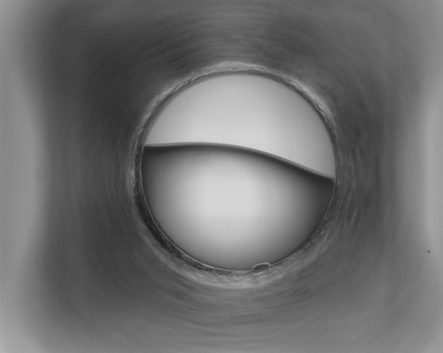 X0000110700015200906121045
