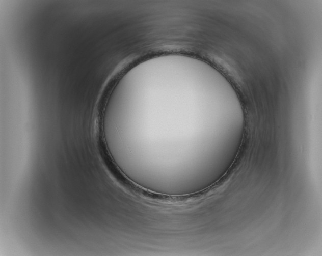 X0000110700016200906121045
