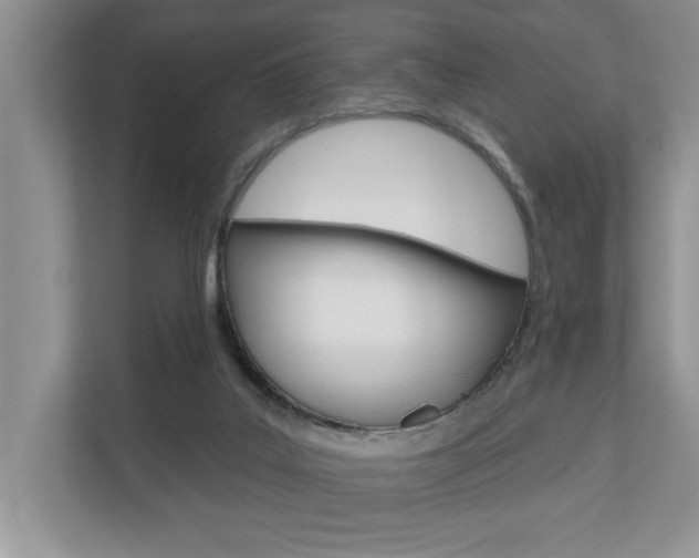 X0000110700019200906121045