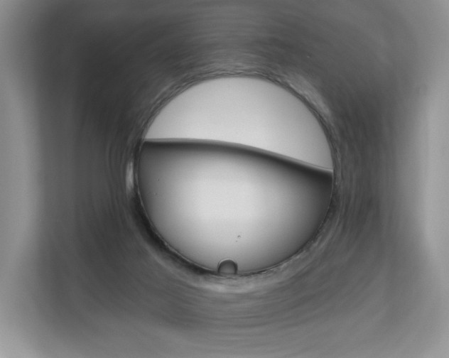 X0000110700021200906121045