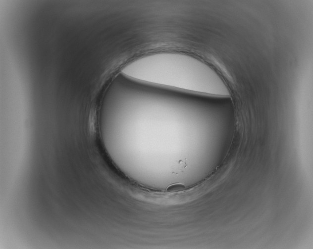 X0000110700023200906121045