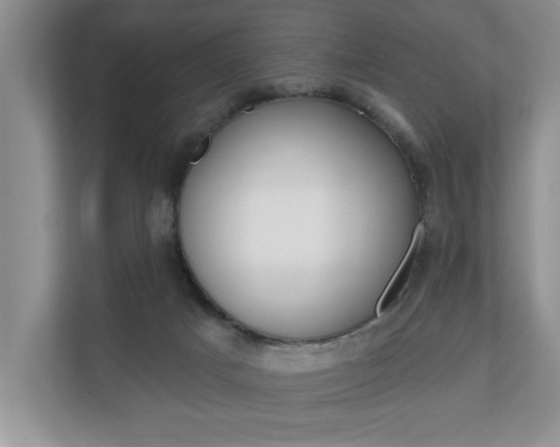 X0000110700025200906121045