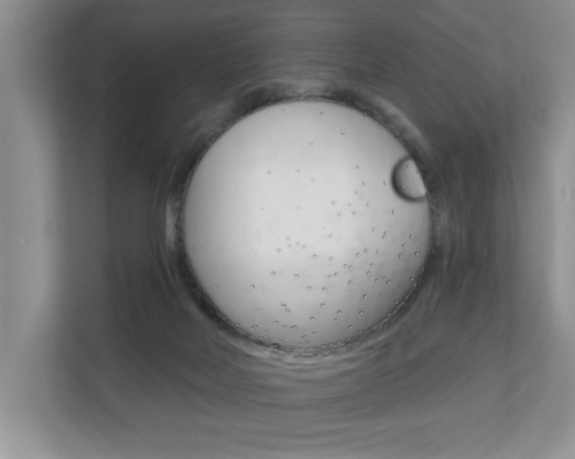 X0000110700026200906121045