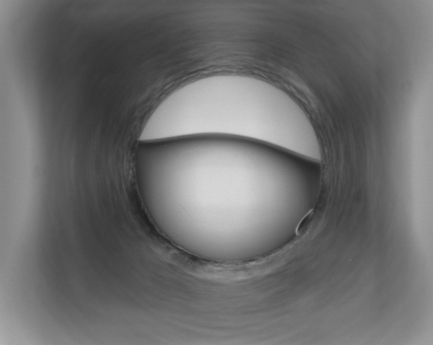 X0000110700029200906121045