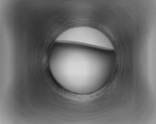 X0000110700031200906121045