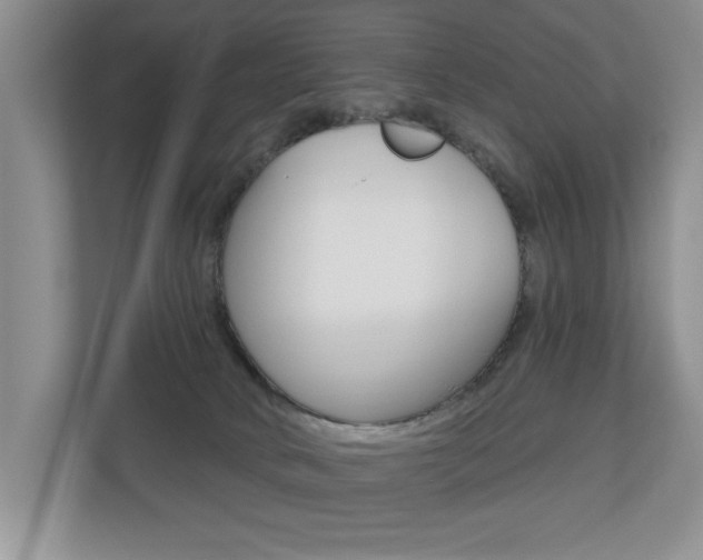 X0000110700034200906121045