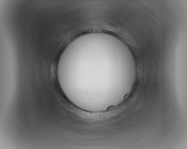 X0000110700038200906121044