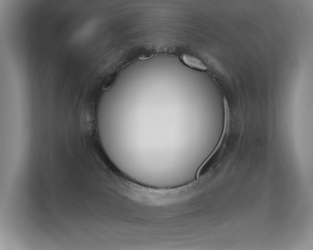 X0000110700039200906121044
