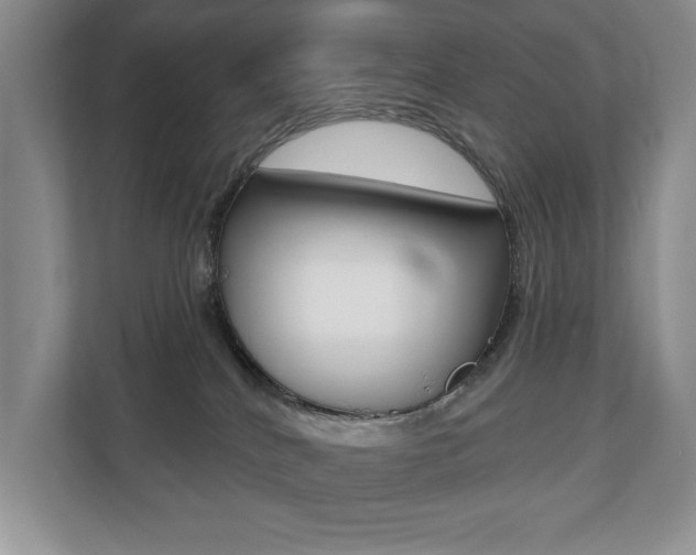 X0000110700040200906121044