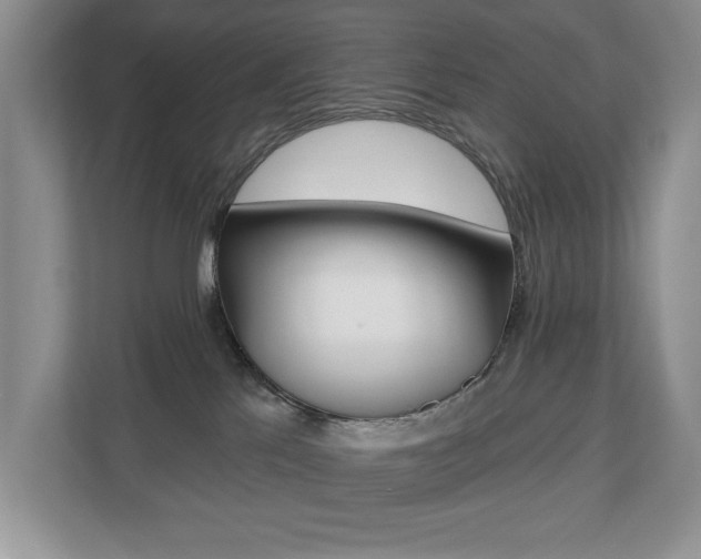 X0000110700041200906121044