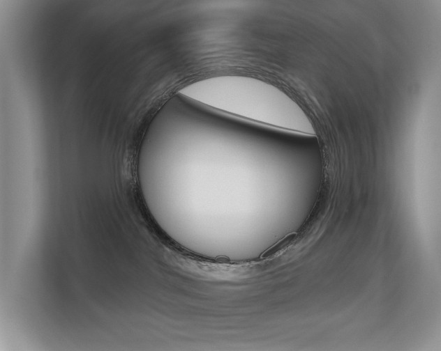 X0000110700044200906121044