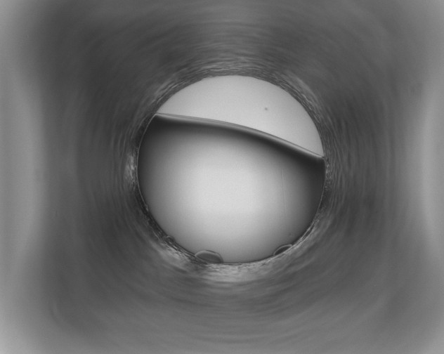 X0000110700045200906121044