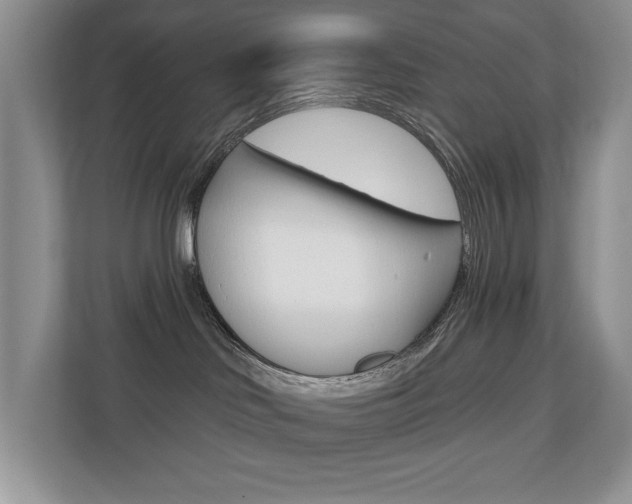 X0000110700046200906121044