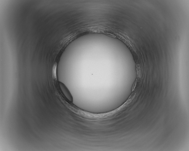 X0000110700047200906121044