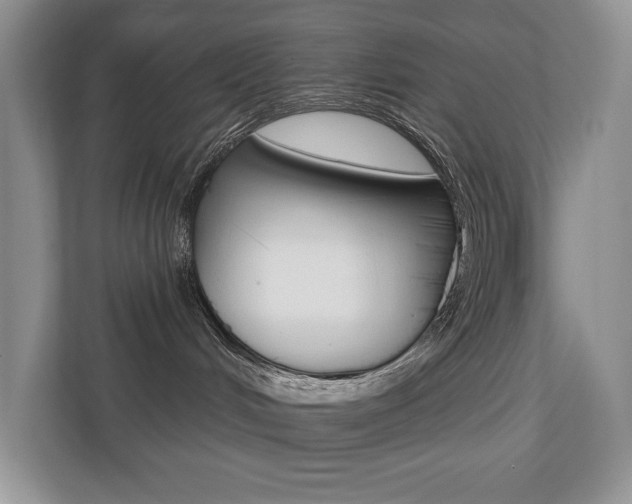 X0000110700048200906121044