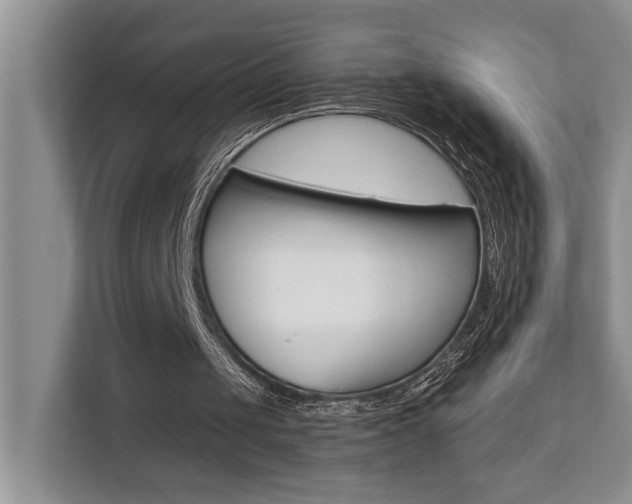X0000110700049200906121044