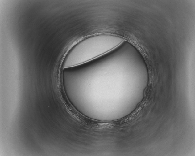 X0000110700050200906121044
