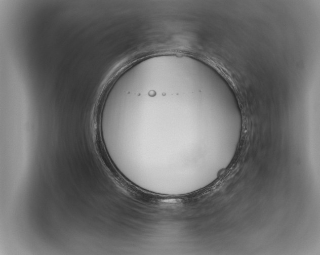X0000110700053200906121044