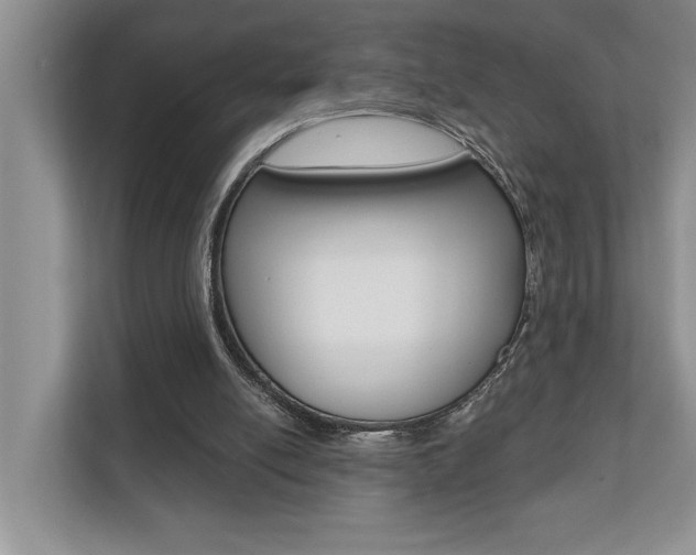 X0000110700054200906121044