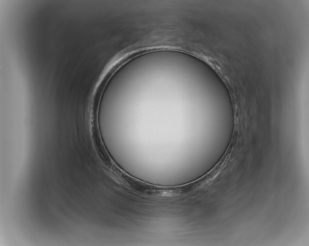 X0000110700056200906121044