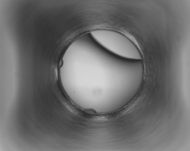 X0000110700061200906121044