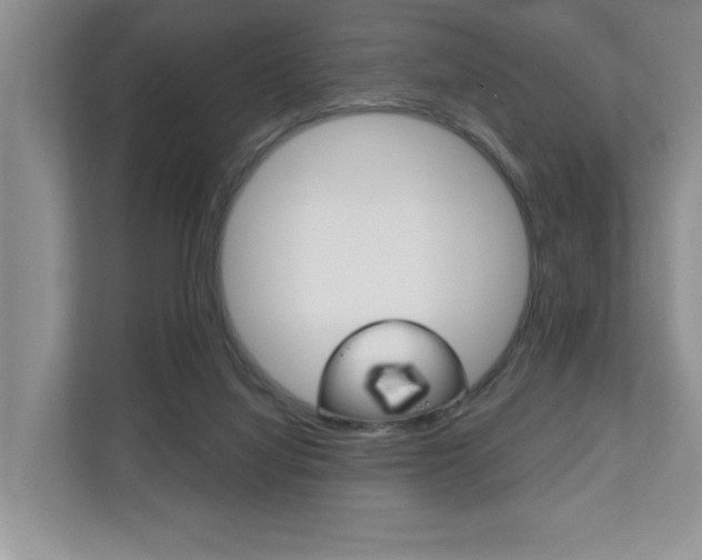 X0000110700068200906121044