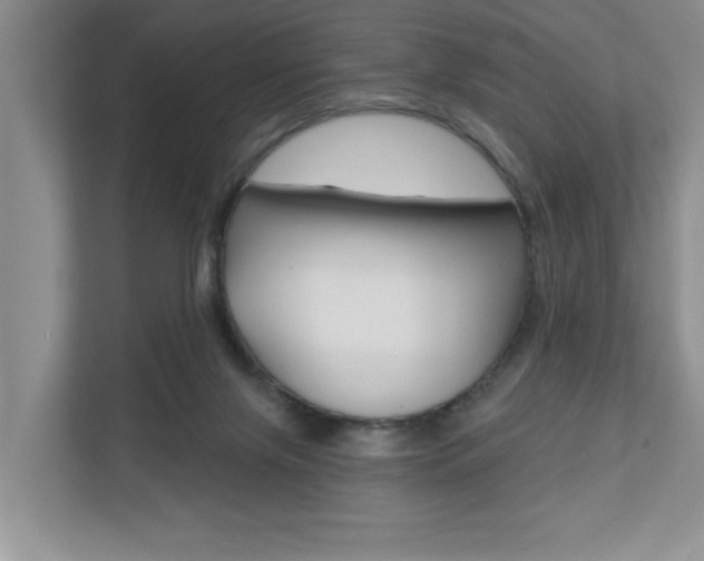 X0000110700071200906121044