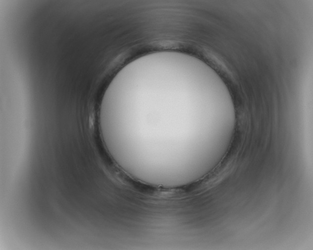 X0000110700072200906121044
