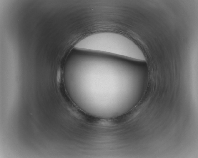 X0000110700076200906121044