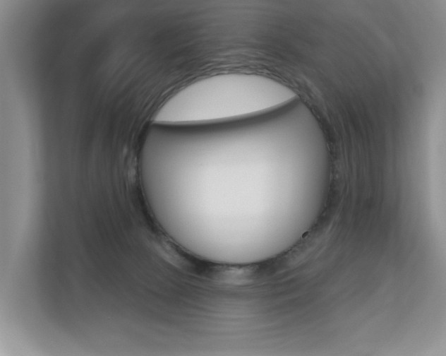 X0000110700081200906121044