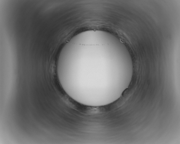 X0000110700083200906121044