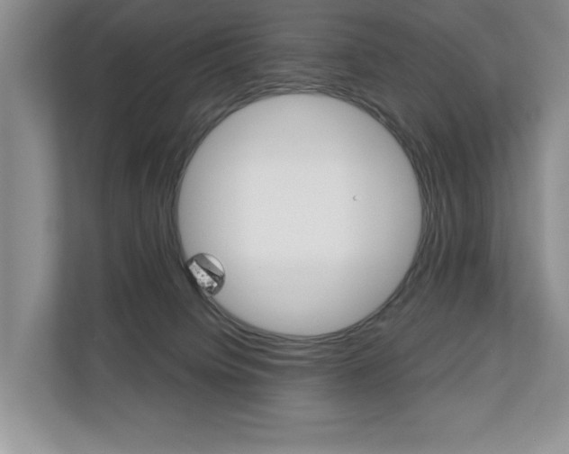 X0000110700084200906121044