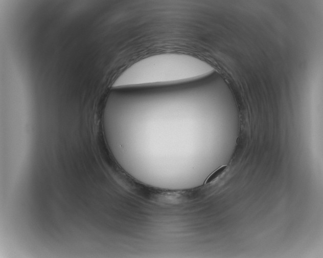 X0000110700086200906121044