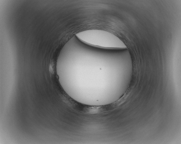 X0000110700090200906121044