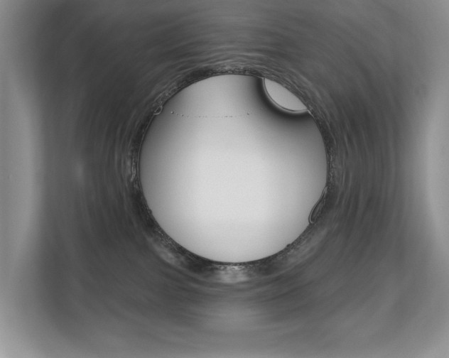 X0000110700091200906121044