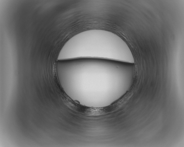 X0000110700093200906121044