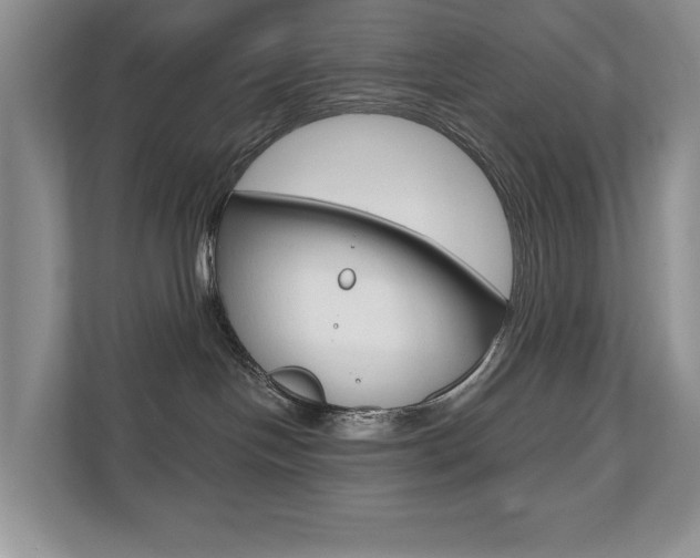 X0000110700094200906121044