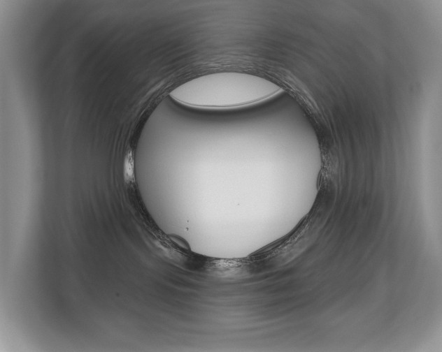 X0000110700095200906121044