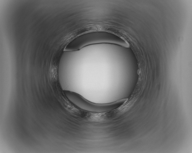X0000110700096200906121044